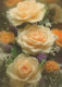 FLORES Vintage Tarjeta Postal CPSM #PBZ347.ES - Bloemen