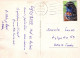 FLORES Vintage Tarjeta Postal CPSM #PBZ347.ES - Bloemen