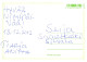 FLORES Vintage Tarjeta Postal CPSM #PBZ769.ES - Flowers