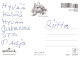 OSO Animales Vintage Tarjeta Postal CPSM #PBS184.ES - Bears