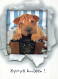 PERRO Animales Vintage Tarjeta Postal CPSM #PBQ408.ES - Dogs