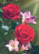 FLOWERS Vintage Postcard CPSM #PAS059.GB - Flowers