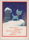 CAT KITTY Animals Vintage Postcard CPSM #PAM574.GB - Cats