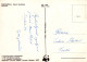 FLEURS Vintage Carte Postale CPSM #PBZ408.FR - Flowers