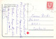 BEAR Animals Vintage Postcard CPSM #PBS247.GB - Beren