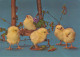 EASTER CHICKEN Vintage Postcard CPSM #PBO944.GB - Easter