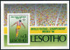 Lesotho 521-524,525,MNH.Michel 565-568,Bl.31. World Soccer Cap Mexico-1986. - Lesotho (1966-...)