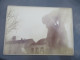 1893 LOT DE 2 PHOTO SUR CARTON SAINT CYPRIEN - Old (before 1900)