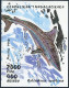Malagasy 1280-1286,1287,MNH.Michel 1527-1533, Bl.210. Sharks 1993. - Madagascar (1960-...)