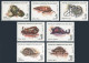 Malagasy 1122-1128,1129,MNH. Michel 1416-1422, Bl.208. Mollusks, Shells, 1992. - Madagaskar (1960-...)