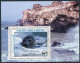 Mauritania 597-600,601, MNH. Mi 871-874, 875 Bl.63. WWF 1986. Monk Seal:Monachus - Mauritania (1960-...)