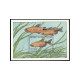 Sierra Leone 959-962,963,MNH.Michel 1081-1084,Bl.76. Fish 1988:Golden Pheasant, - Sierra Leone (1961-...)