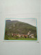 CARTOLINE: VILLARFOCCHIARDO (TO) M.450 - SCORCIO PANORAMICO - VIAGGIATA - F/G - COLORI - Rivoli