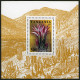Tanzania 1388-1394,1395,MNH.Michel 2160-2166,Bl.297. Cactus Flowers 1995. - Tansania (1964-...)