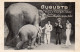 DOUAI Le 5 AOUT 1936 - AUGUSTE Le 1er éléphant Né En France . Baptisé Par MAURICE CHEVALIER Et JOSEPHINE BAKER. - Douai