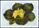 Uganda 612-619,620-621 Sheets,MNH. Mi 592-599,Bl.80. Flowers. Costus Spectabiis. - Ouganda (1962-...)