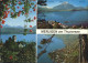 11048410 Merligen Thunersee - Other & Unclassified