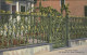 11044640 New_Orleans_Louisiana Corn Fence - Otros & Sin Clasificación