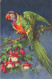C790 FANTAISIE Perroquet - Oiseaux