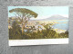 Cpa Napoli Naples Panorama - Napoli (Naples)