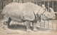 C795 FANTAISIE Rhinocéros - Rhinoceros