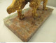 Delcampe - Beau  Chien De Chasse  En Bronze Doré  Sur Terrasse En Marbre  L 23 Cm  Poids 3 Kg 400  Parfait état - Bronzen