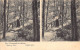 Belgique - SPA (Liège) Promenade Des Artistes - Carte Stéréoscopique - Cliché J.V.  - Ed. H.C.R. Série 5 N. 10 - Spa