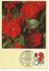 Carte Maximun Europe Sur Les Fleurs  Rose Coucou Plantes Médicinales Lot De 5 Variés - Europe (Other)