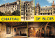 41-BLOIS CHATEAU-N°T2654-C/0229 - Blois