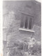 Old Real Original Photo - Naked Man In The Yard - Ca. 8.5x6 Cm - Anonymous Persons