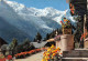 74-CHAMONIX-N°T2665-B/0131 - Chamonix-Mont-Blanc