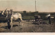 Agriculture Agricole Carte Photo Animée Culture Cheval Machine Agricole Ferme Paysans - Cultivation