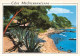 83-LA MEDITERRANEE CALANQUES ET PINEDES-N°T2669-D/0025 - Other & Unclassified