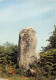 29-BRETAGNE MENHIR-N°T2673-C/0155 - Other & Unclassified