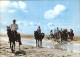 72525858 St Peter-Ording Reiten Am Strand Nordseebad Schwefelbad St. Peter-Ordin - St. Peter-Ording