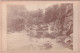3 Photos 1880 Le Goure Saillant (03 Allier) Aux Environs De Vichy Photos (16.50 X 11 Cm) - Vichy