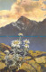 R057046 Old Postcard. Mountain Flowers. B. Hopkins - Monde