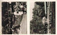 73977051 ARNHEM_Arnheim_NL Hertenkamp Sonsbeek - Other & Unclassified