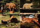 73832909 Wuppertal Zoologischer Garten Elefant Eisbaer Puma Wuppertal - Wuppertal