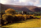 20-5-2024 (5 Z 36) UK - (posted To Australia In 1999)  Llanthory Priory - Eglises Et Cathédrales