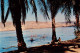 73918532 Galilaea Galilee Haifa Israel Bathing In The Lake Of Galilee - Israel