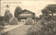 10986037 Osborne Isle Of Wight Swiss Cottage Shanklin - Autres & Non Classés