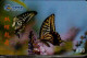 TELECARTE ETRANGERE....PAPILLON... - Butterflies