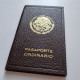 Fantastic MEXICO 1941 Passport Of A Beautiful Woman - Condition! - Free Shipping! - Historische Documenten