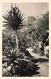 98-MONACO JARDIN EXOTIQUE-N°T5310-E/0109 - Sonstige & Ohne Zuordnung