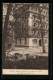 CPA Vichy, Hôtel De Plaisance Et Son Annexe Sur Le Parc, Boulevard Des États-Unis 78  - Vichy