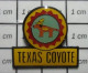 811B Pin's Pins / Beau Et Rare / ANIMAUX / TEXAS COYOTE - Animali