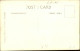 10927943 Shanklin Shanklin Keats Green Shewing Hydrangeas * Shanklin - Autres & Non Classés