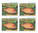 Australia 1984 Olympics,Los Angeles,Tokyo Olympic 2020,Fish Wrasse,Cover To India (**) Inde Indien - Lettres & Documents