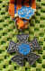 Medaile   :  Avondvierdaagse NWB -  Original Foto  !!  Medallion  Dutch . - Altri & Non Classificati